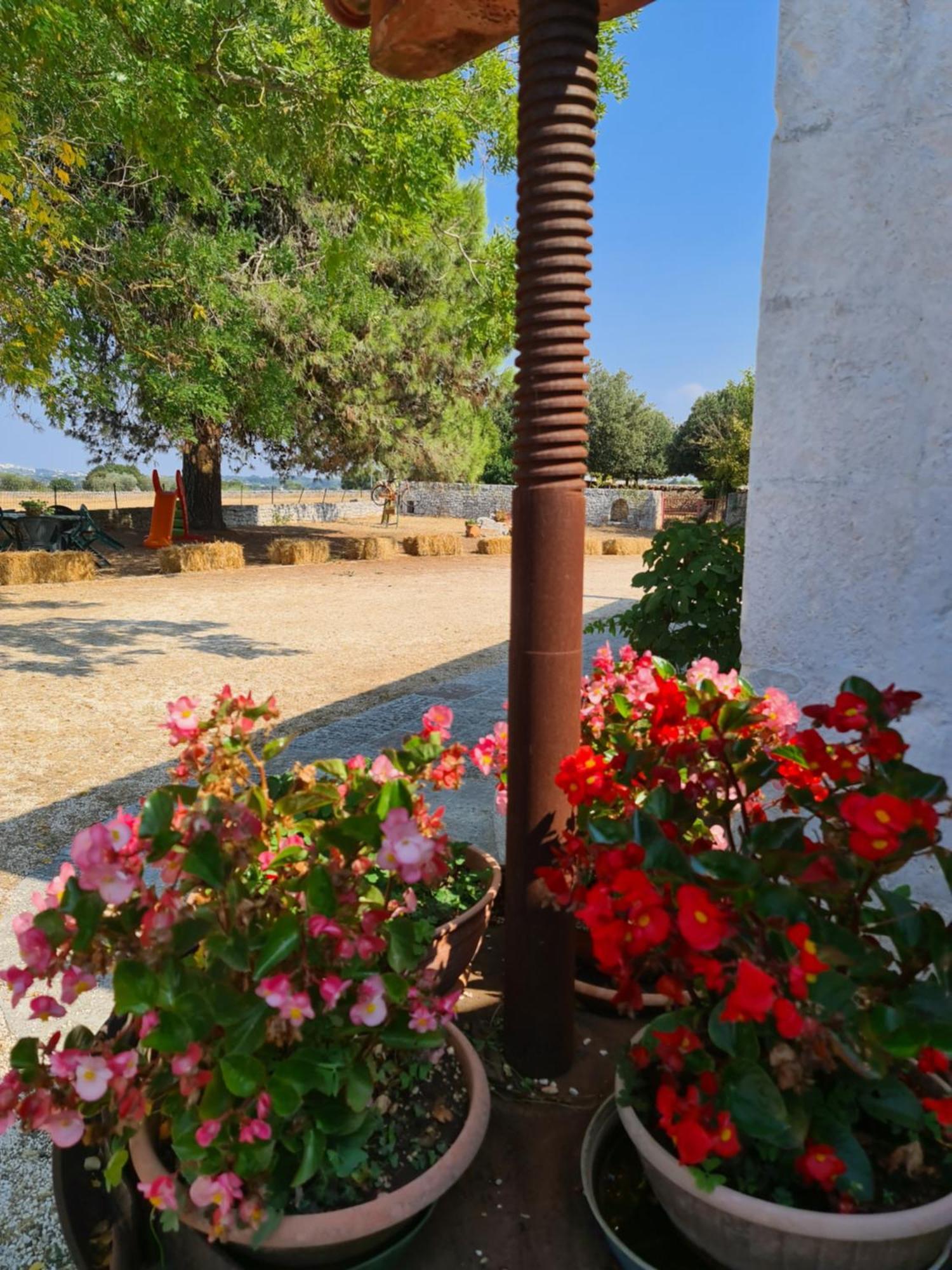 Masseria Gianca Cisternino Exterior foto