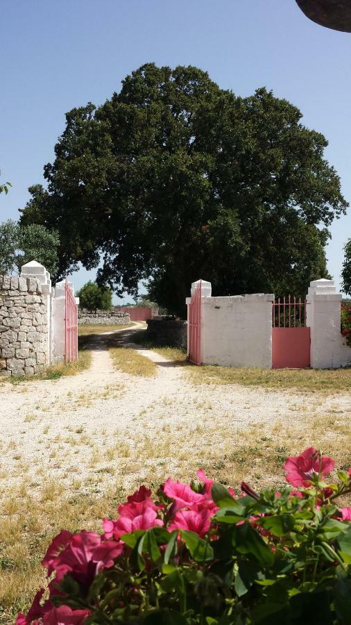 Masseria Gianca Cisternino Exterior foto